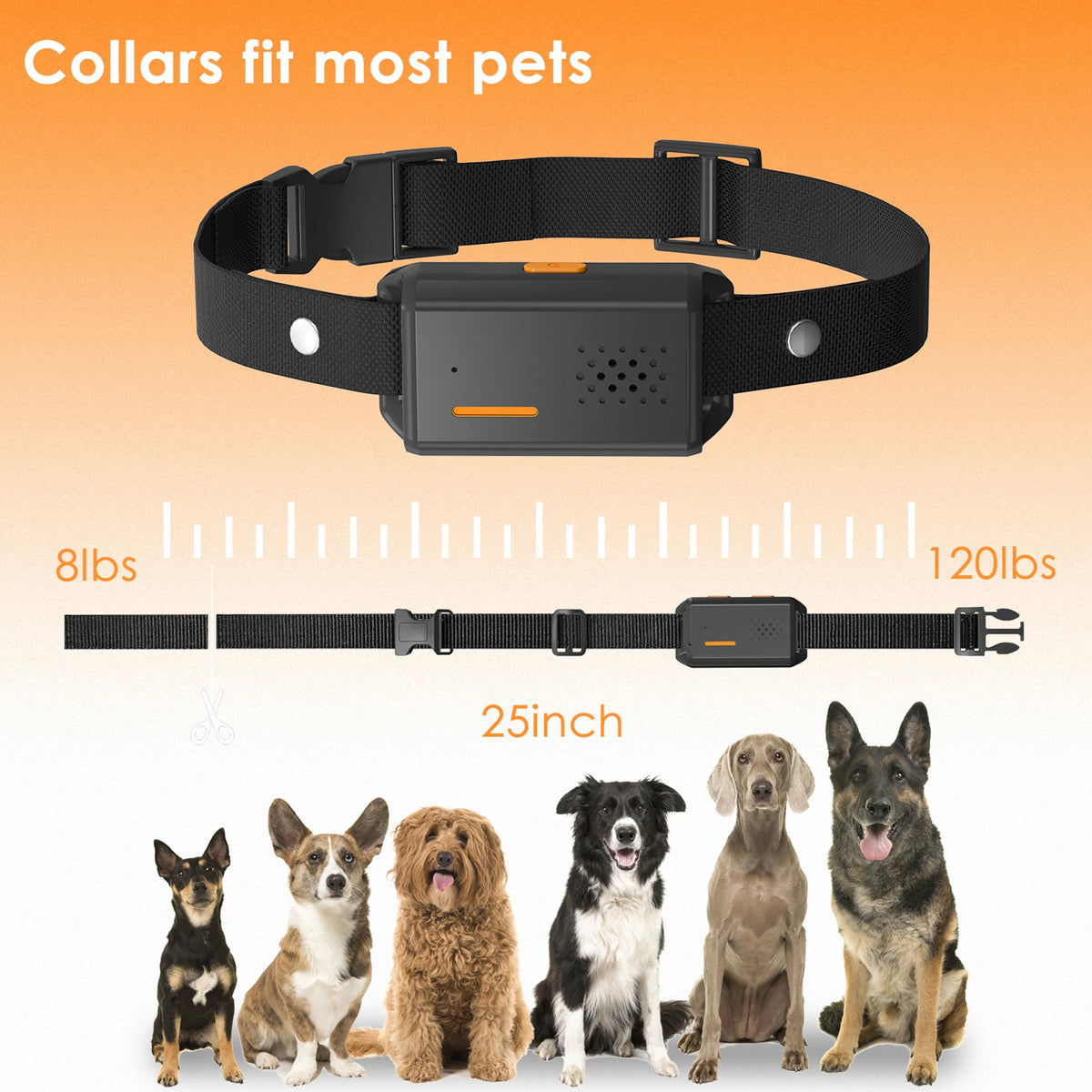 Electric Dog Training Collar with Remote