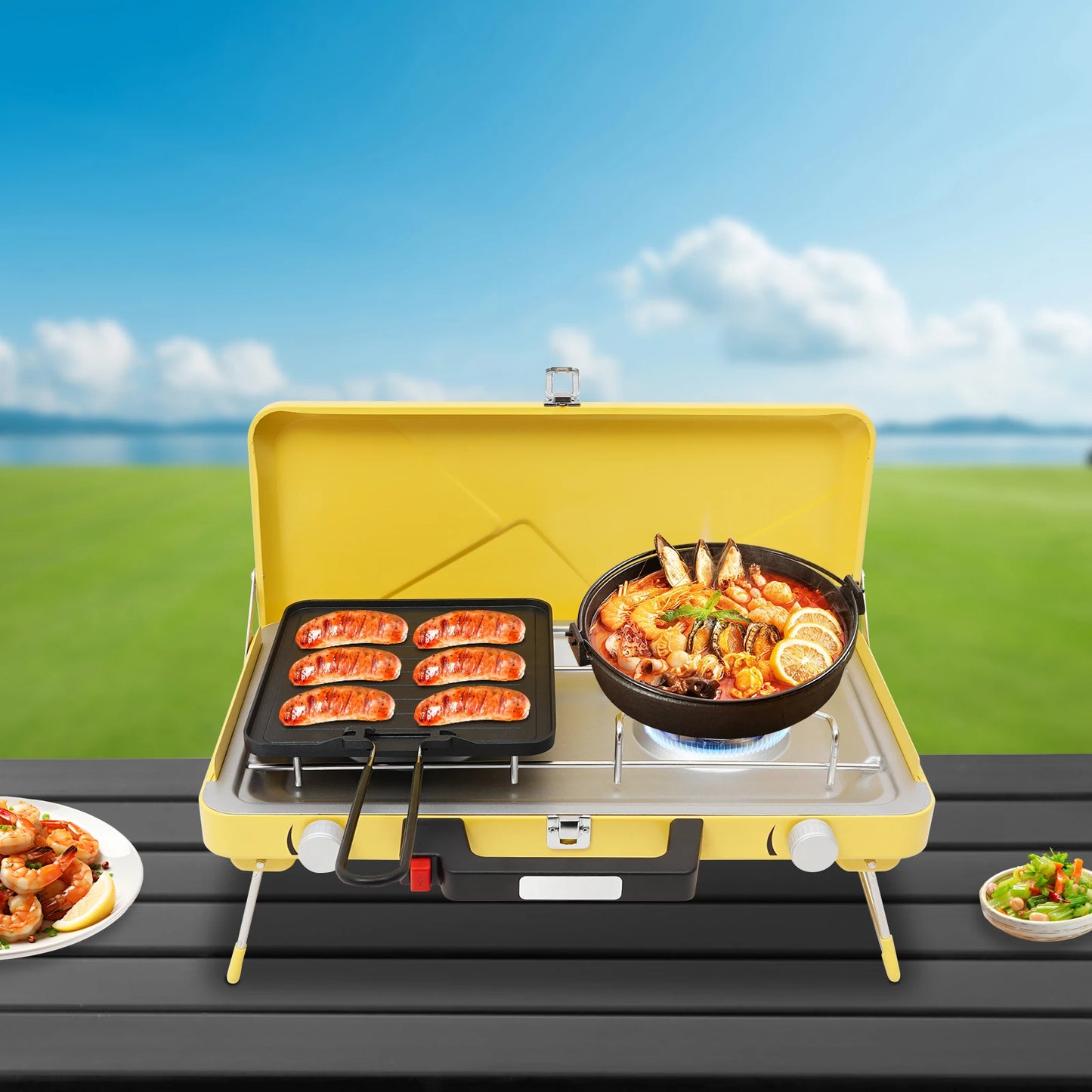 Dual Burner Outdoor Gas Stove