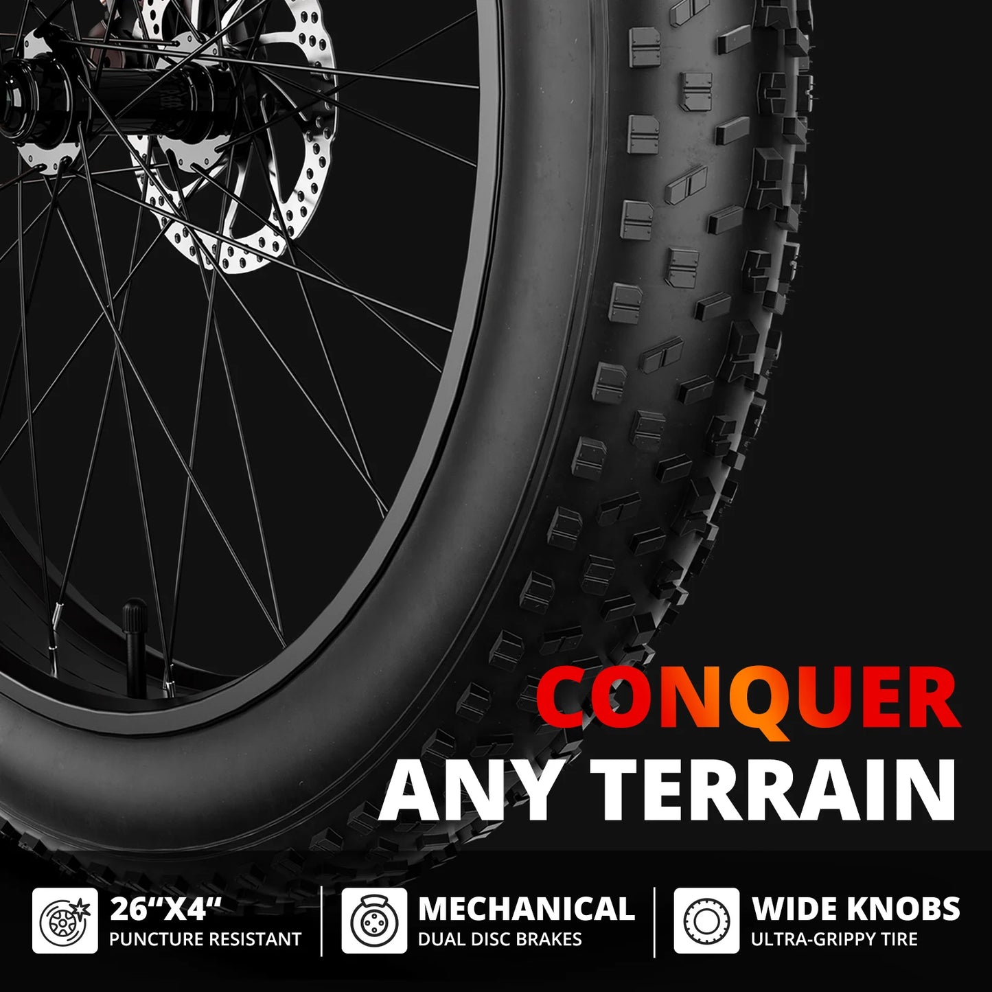 Adult Electric Bicycle