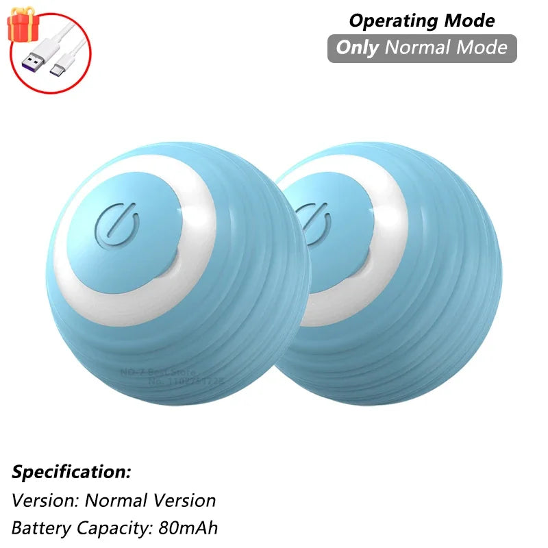 Indoor Interactive Birds Toy