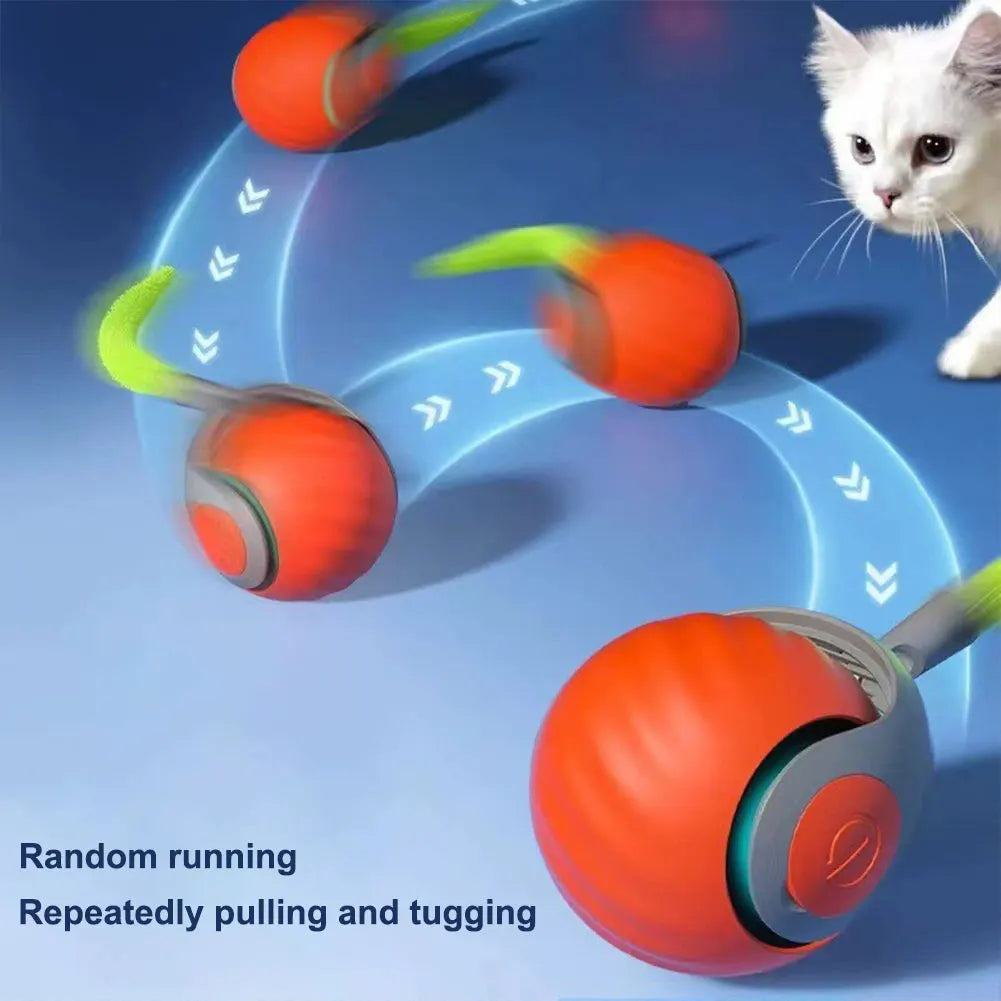 USB Rechargeable Cat Toy