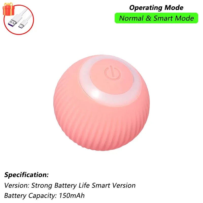 Indoor Interactive Birds Toy