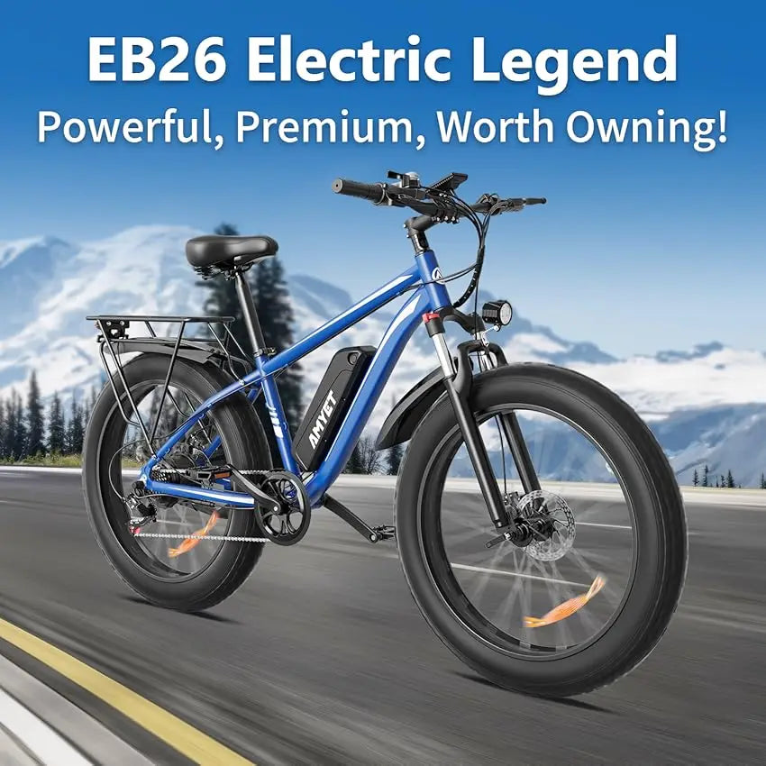 Adult Electric Bicycle