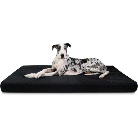 Orthopedic Rectangle Dog Bed