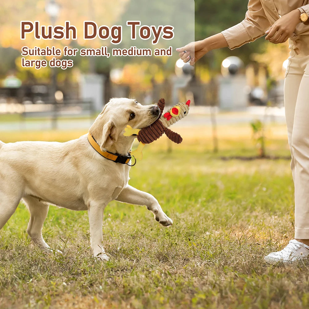 5 Pack Dog Toys