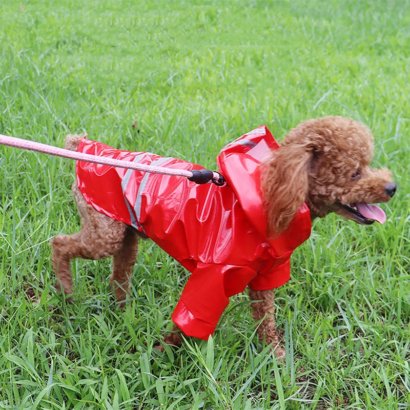 Pet Rain Coat