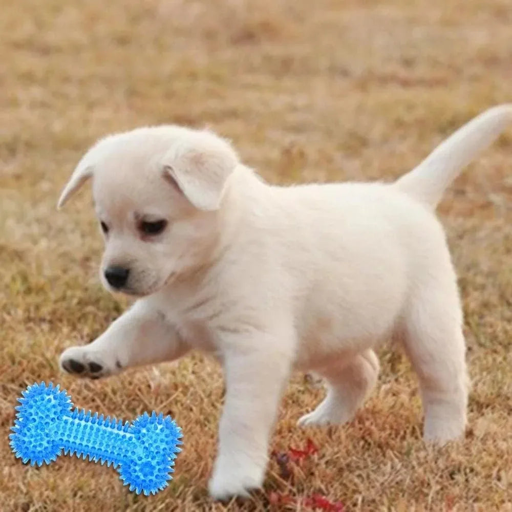 Dog Chew Toys Teething Balls