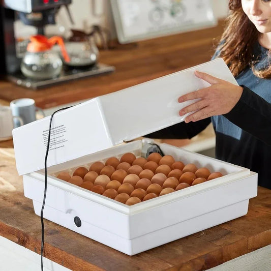 Circulated Air Egg Incubator with Automatic Turning