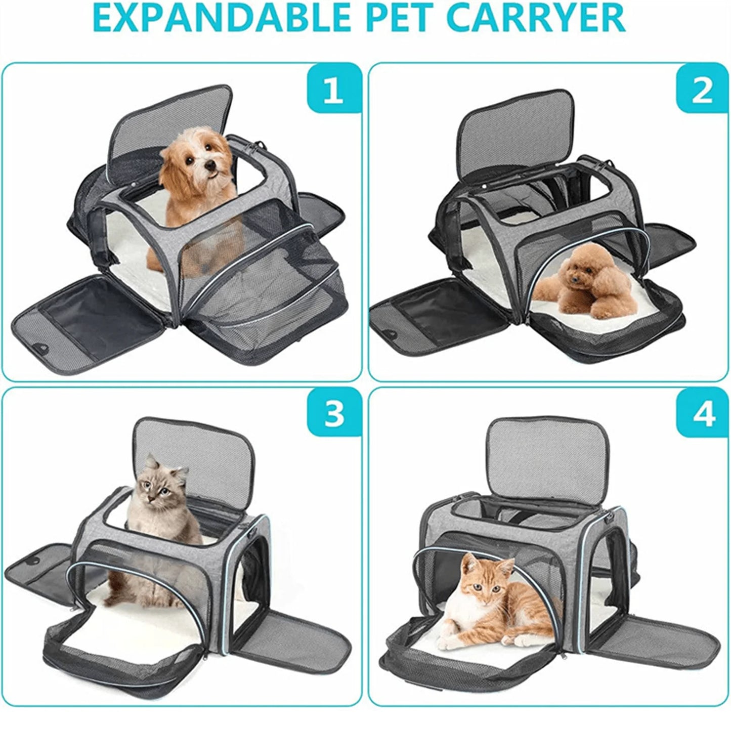 Airline Approved Soft Sided Pet Carrier