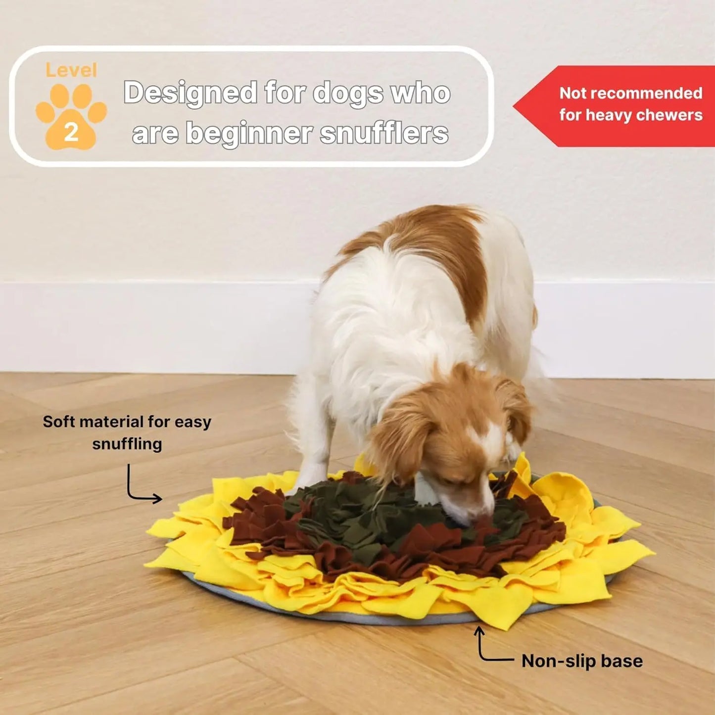 Snuffle Mat for Dogs