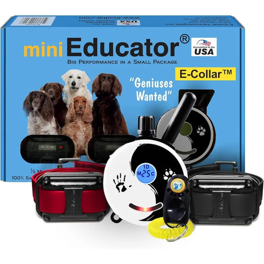Dog Training Collar with Remote
