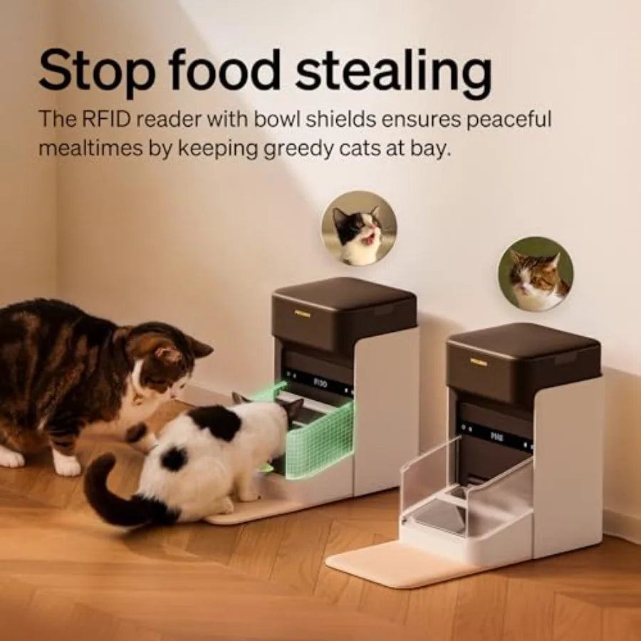 RFID Automatic Cat Feeder