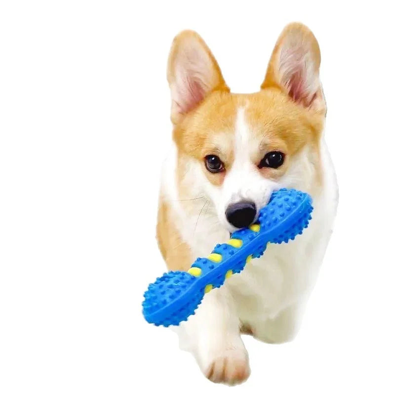 Pet Dog Chew Toy