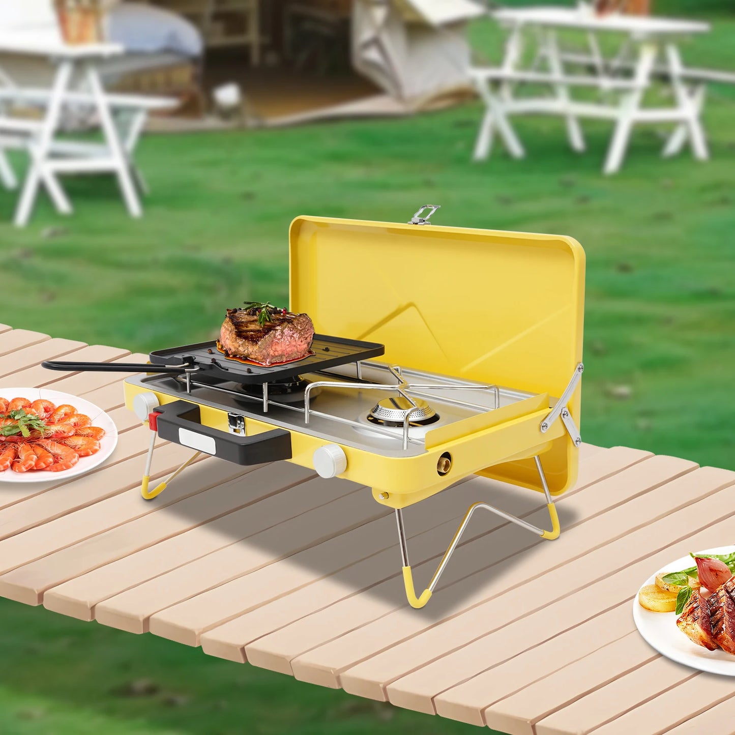 Dual Burner Outdoor Gas Stove
