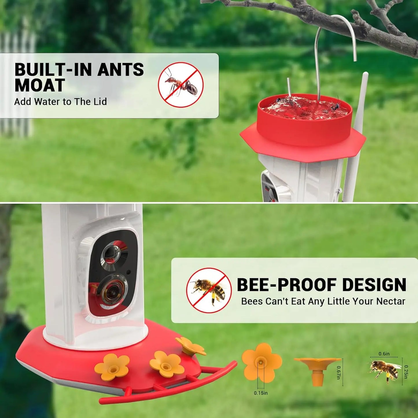 Hummingbird Feeder with Camera
