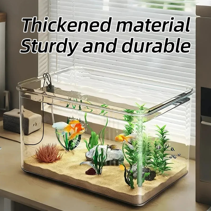 Aquarium Creative Desktop