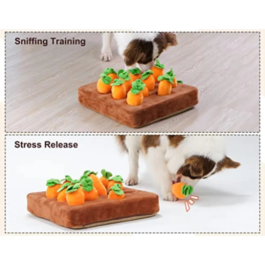 Squeak Carrot Snuffle Mat for Dogs