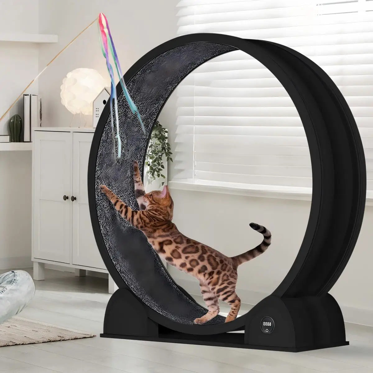 Cat Exercise Wheel