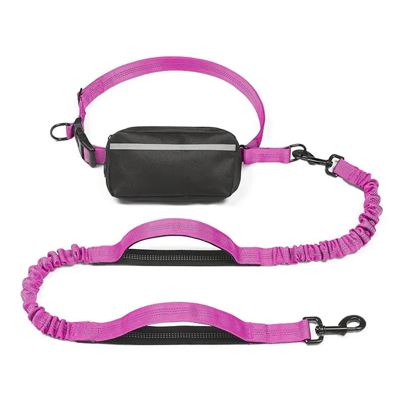 Hands Free Dog Leash