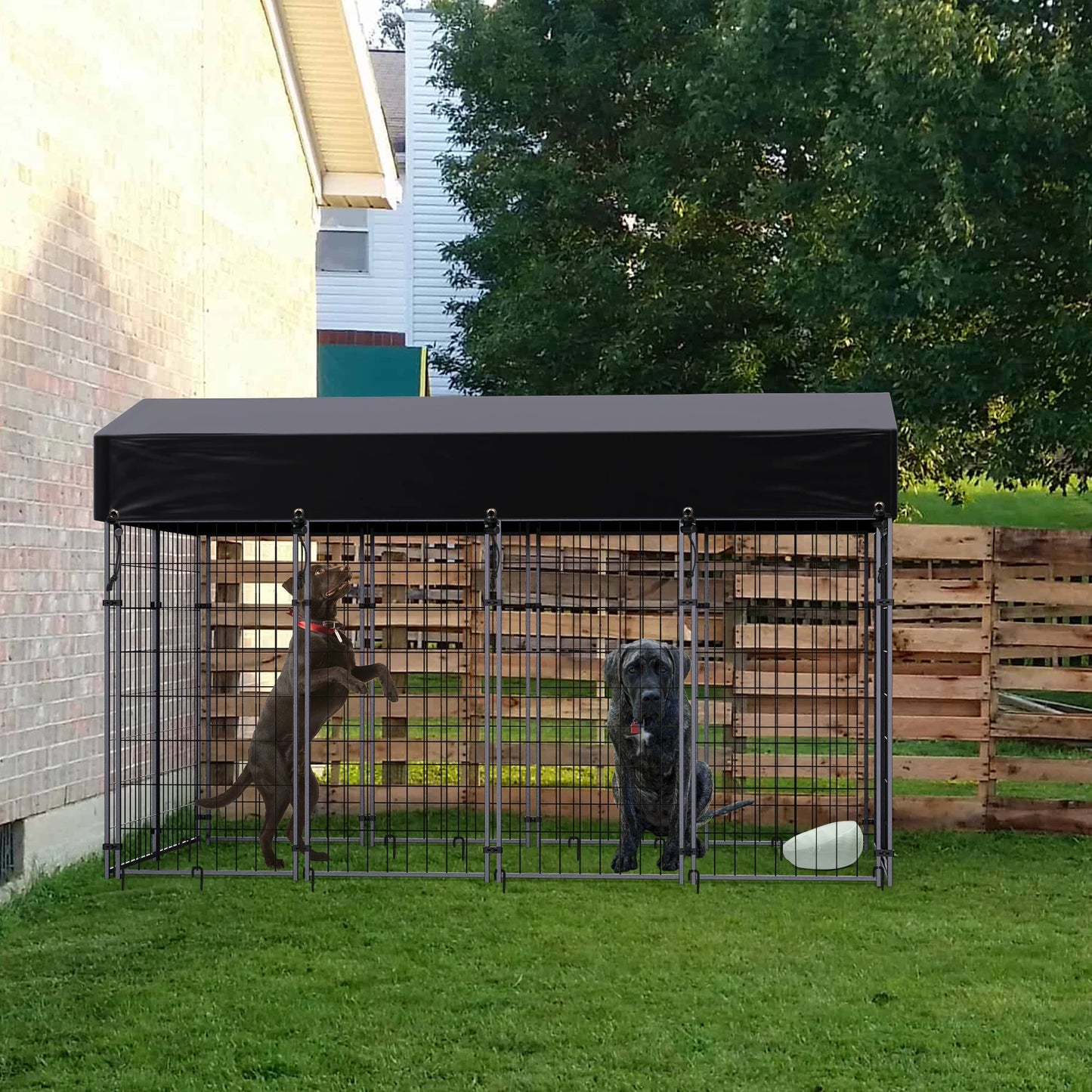 Large Dog Kennel