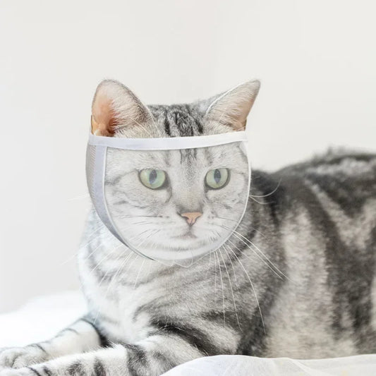 Cat Muzzle