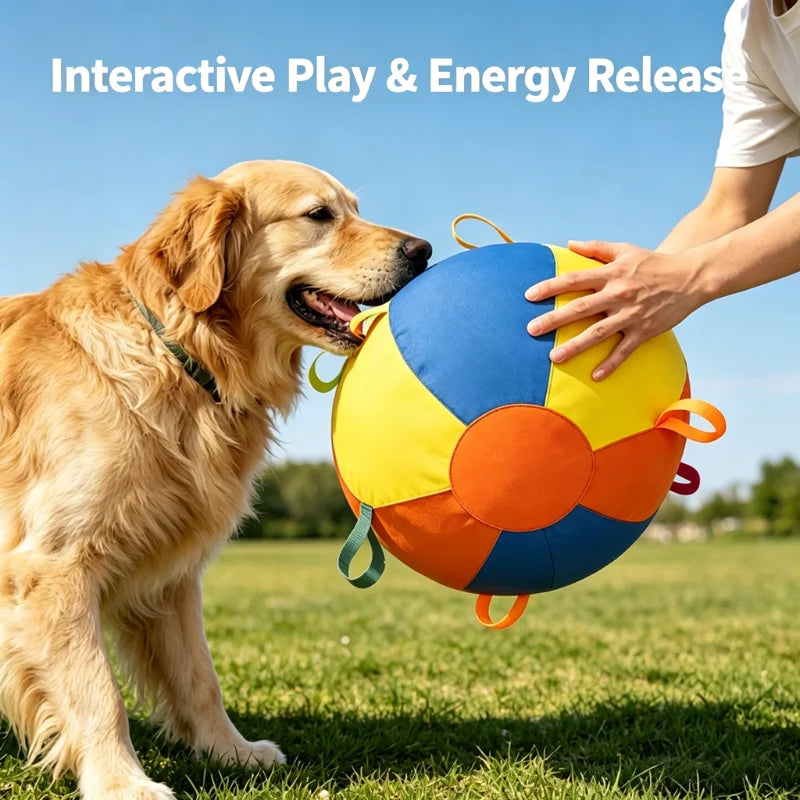 Dog Herding Ball