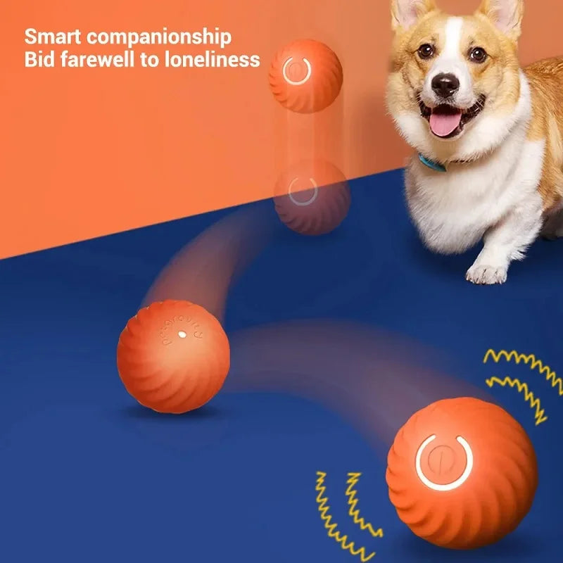 Dog Toy Ball