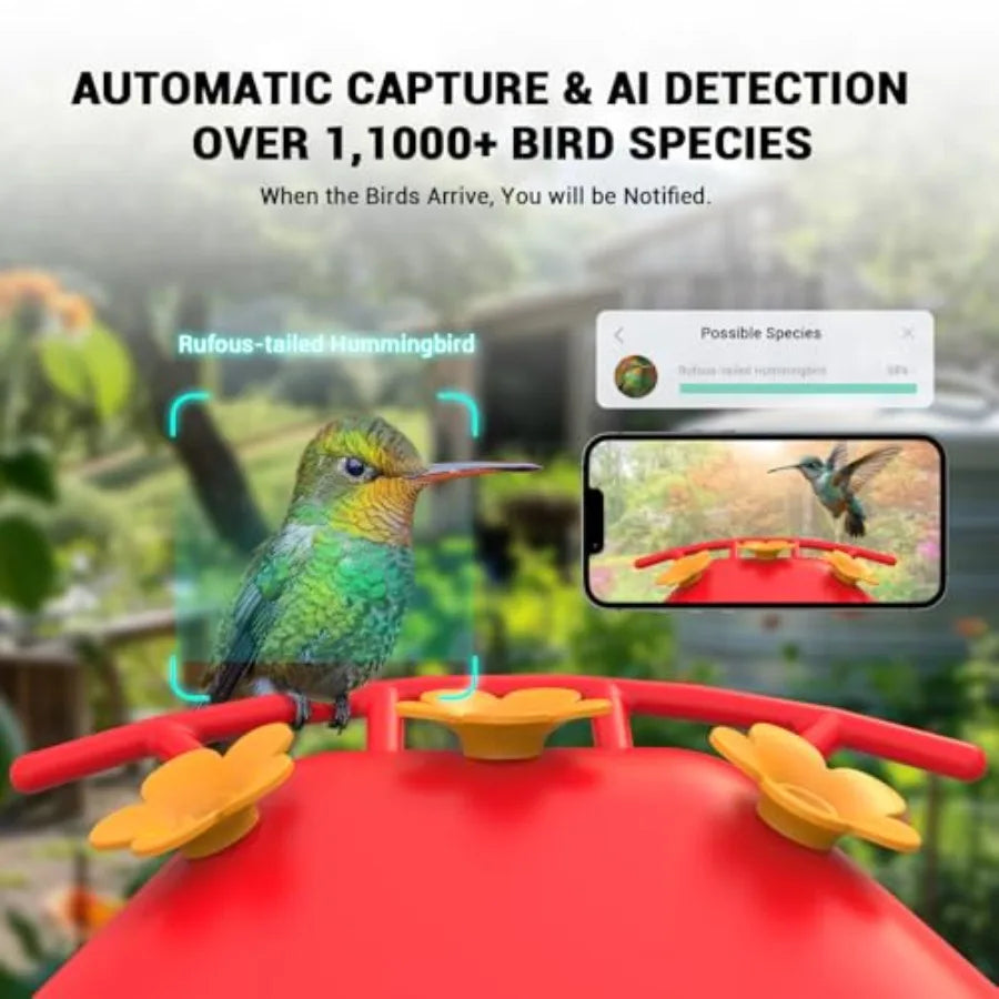 Hummingbird Feeder with Camera