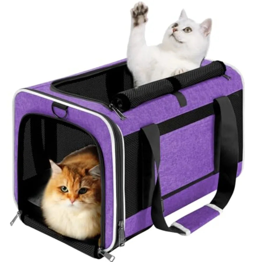 Soft, Collapsible Travel Pet Carry Bag