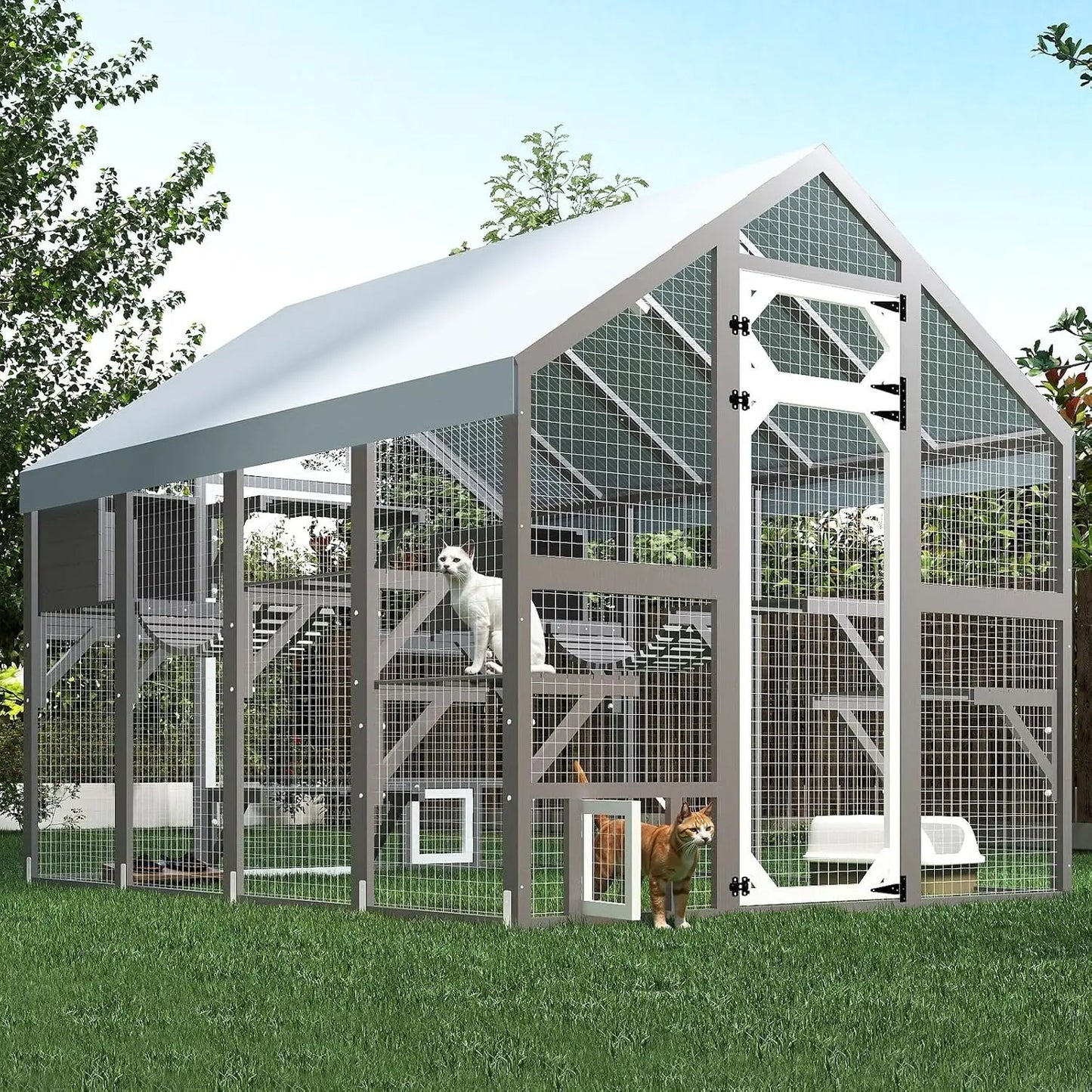Extra Large Catio Outdoor