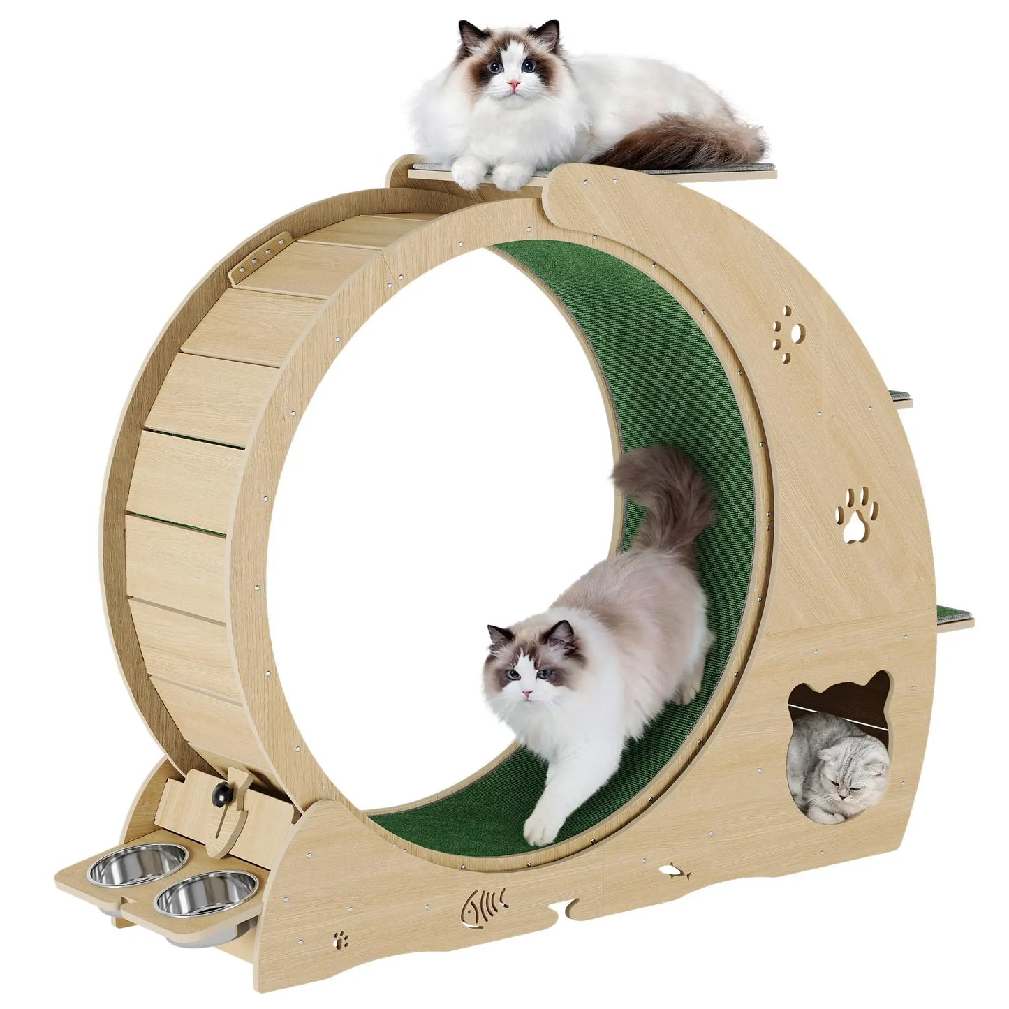 Cat Exercise Wheel