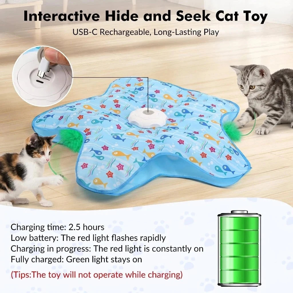 Durable Hide And Seek Cat Toy