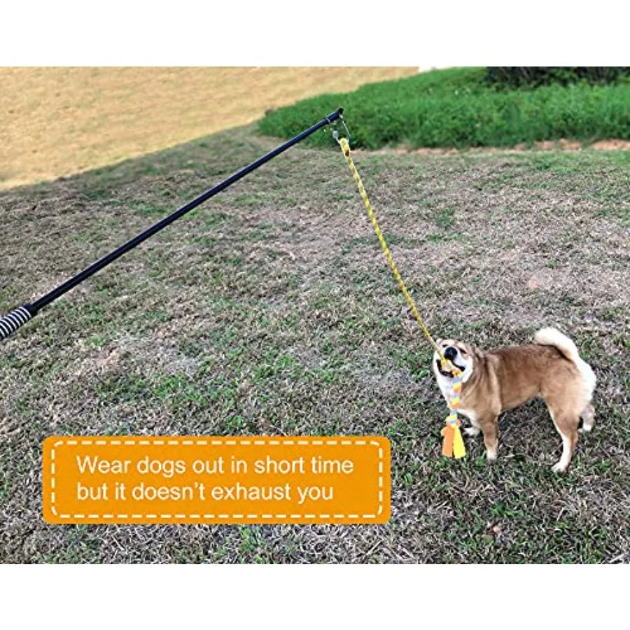 Flirt Pole Dog Toys