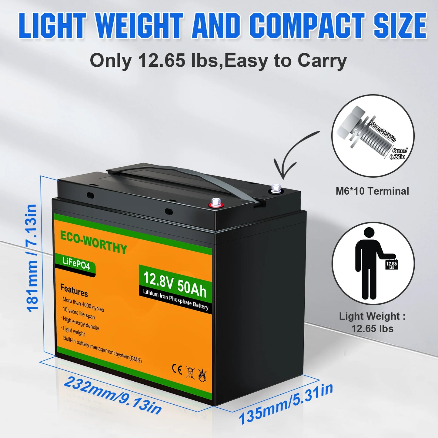12V 50Ah LiFePO4 Lithium Battery with BMS