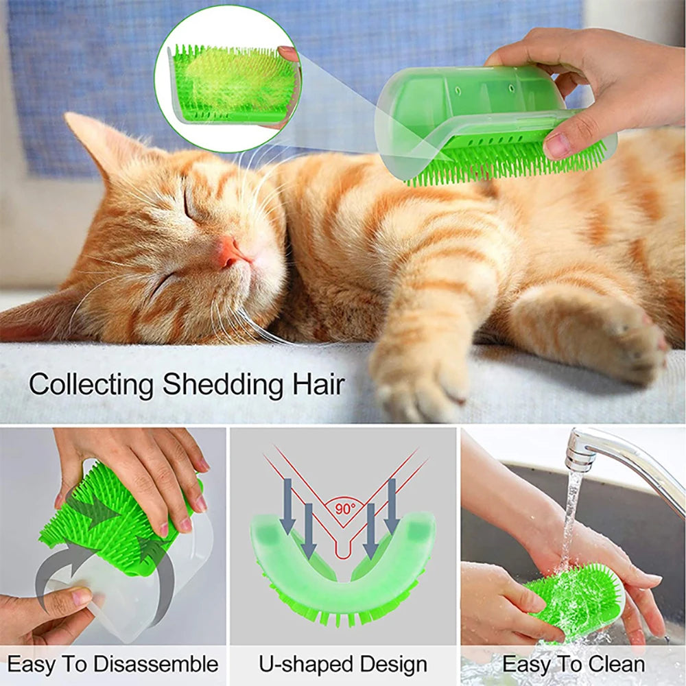 Cat Scratching Brush with Catnip