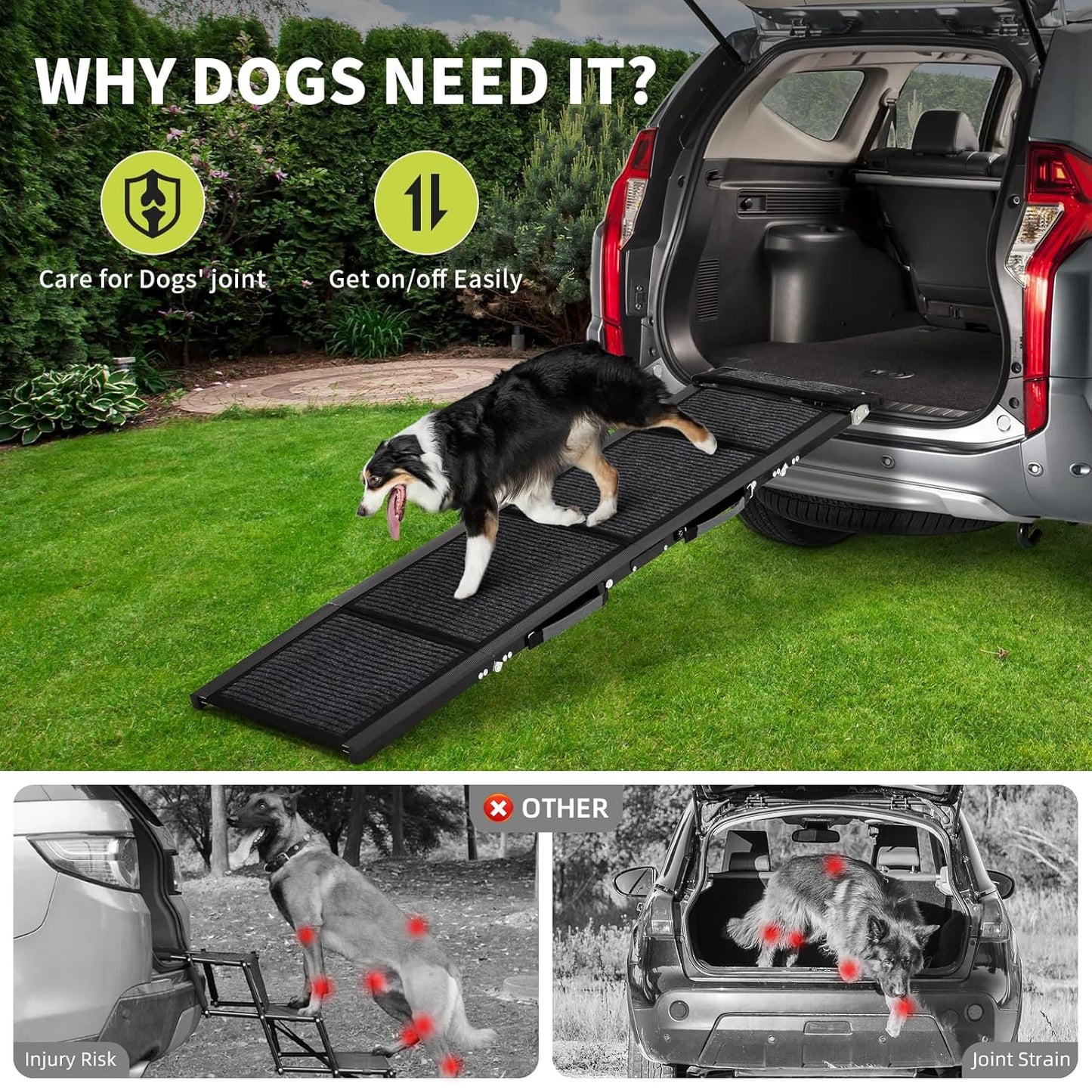 Car Dog Ramp Up to 250 LBS