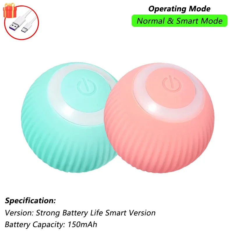 Indoor Interactive Birds Toy