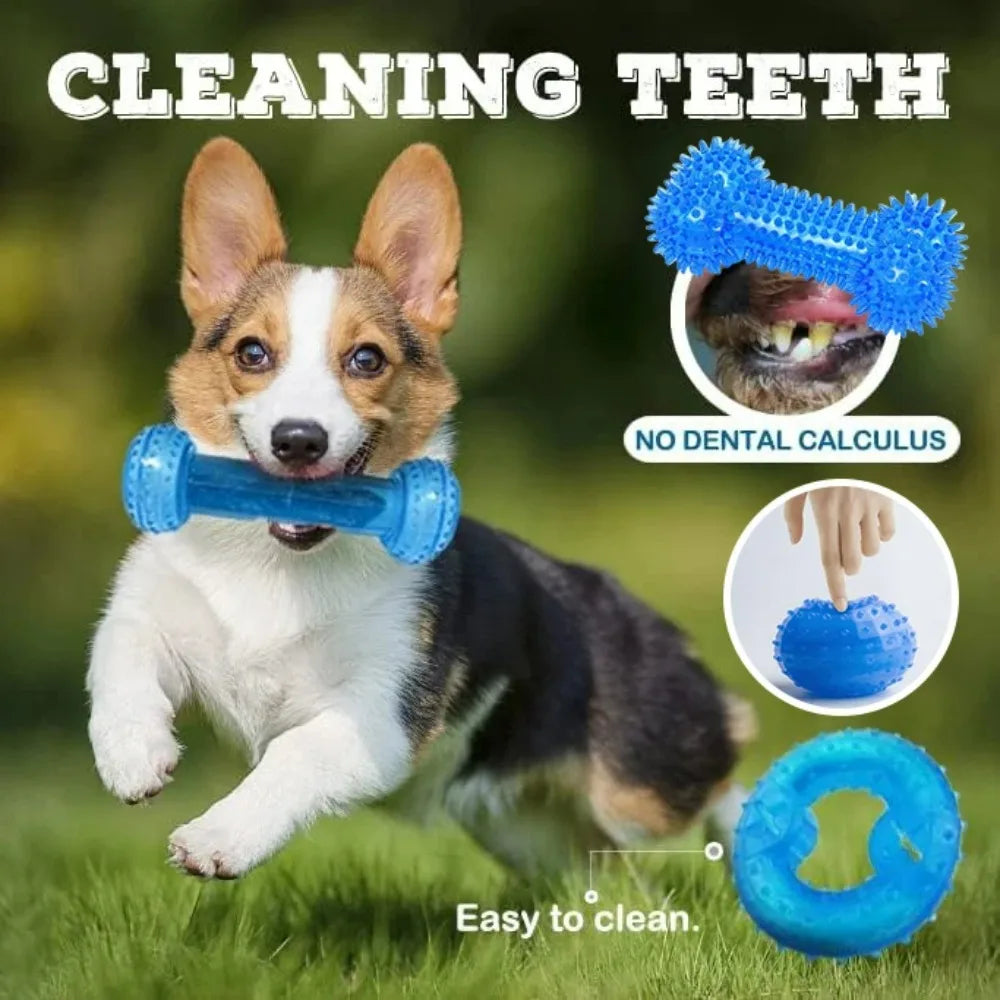 Dog Chew Toys Teething Balls