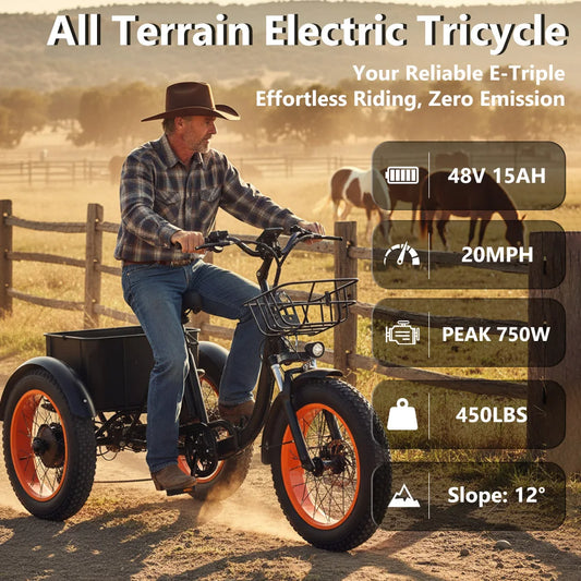 Electric Tricycle for Adults
