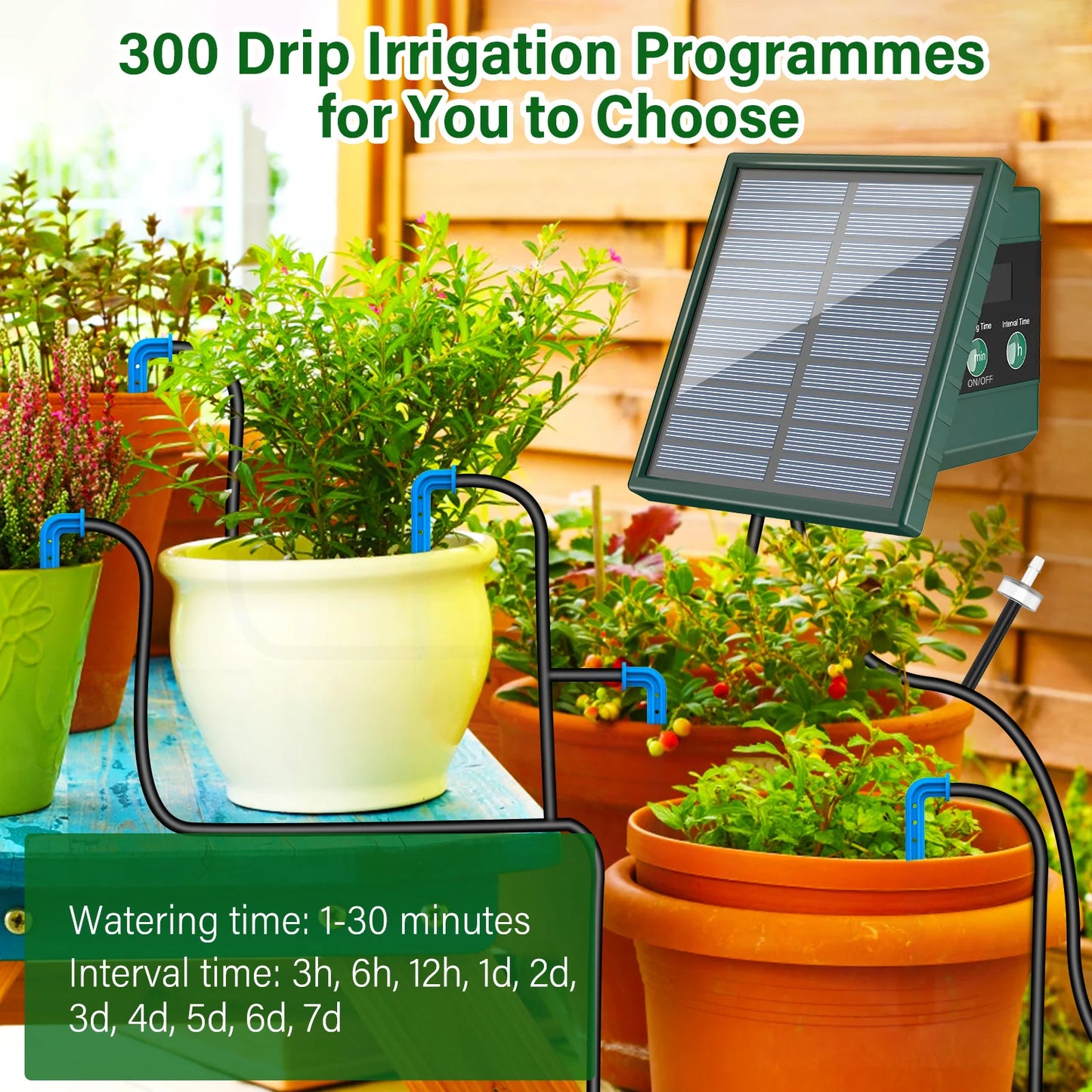 Solar Irrigation System