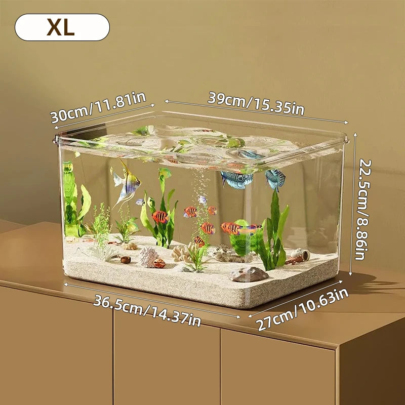 Aquarium Creative Desktop