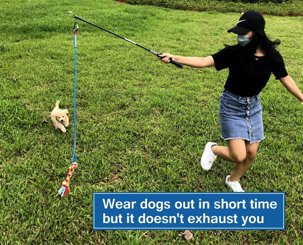 Interactive Flirt Pole Toy for Dogs