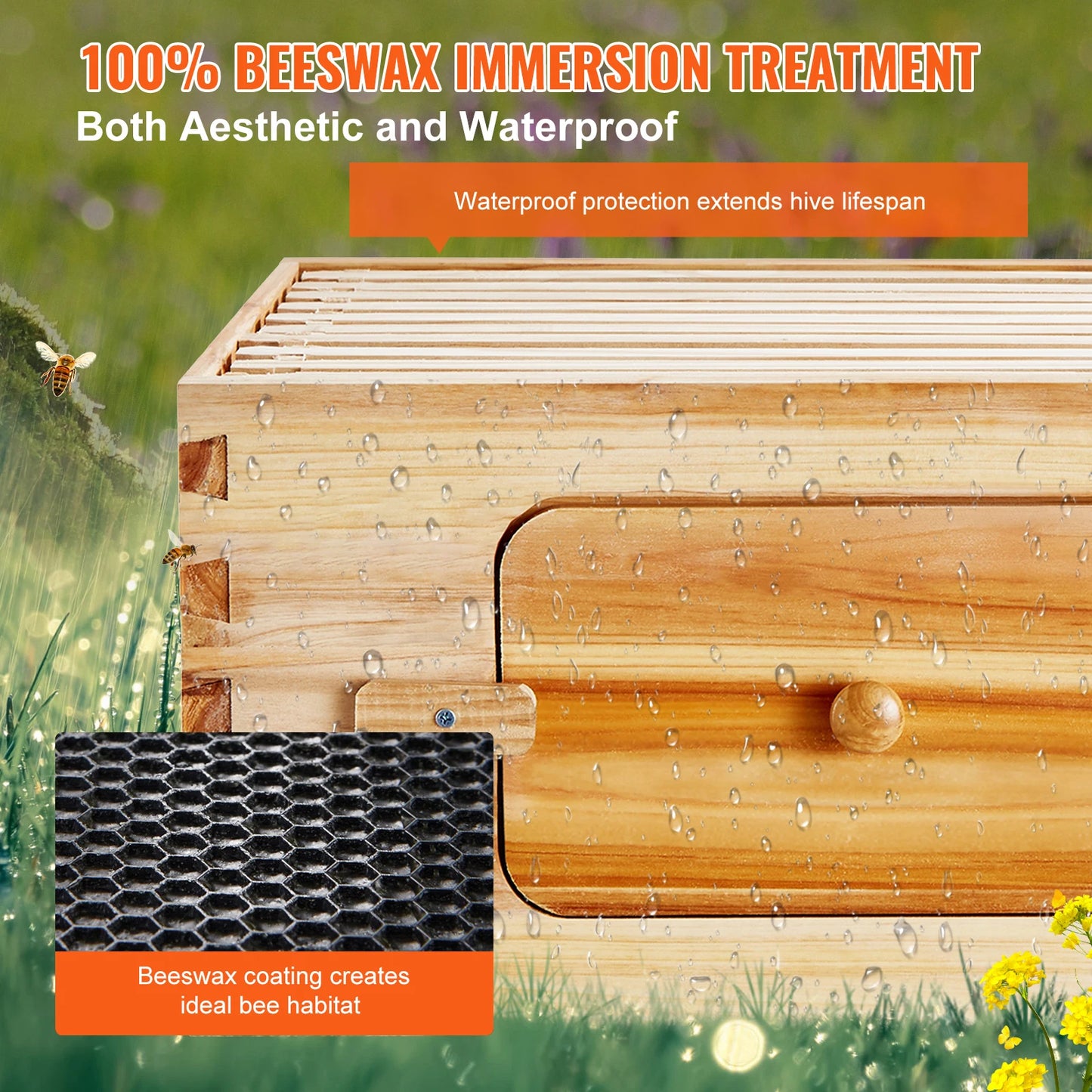 Starter Bee Hive