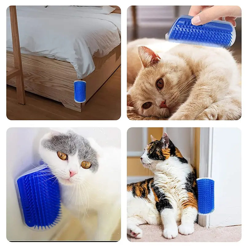 Cat Scratching Brush with Catnip