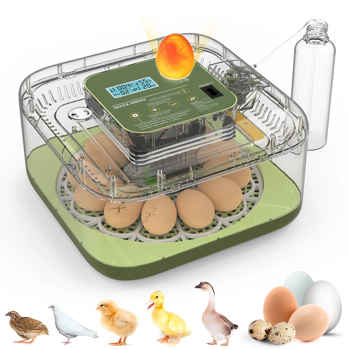 Egg Incubator