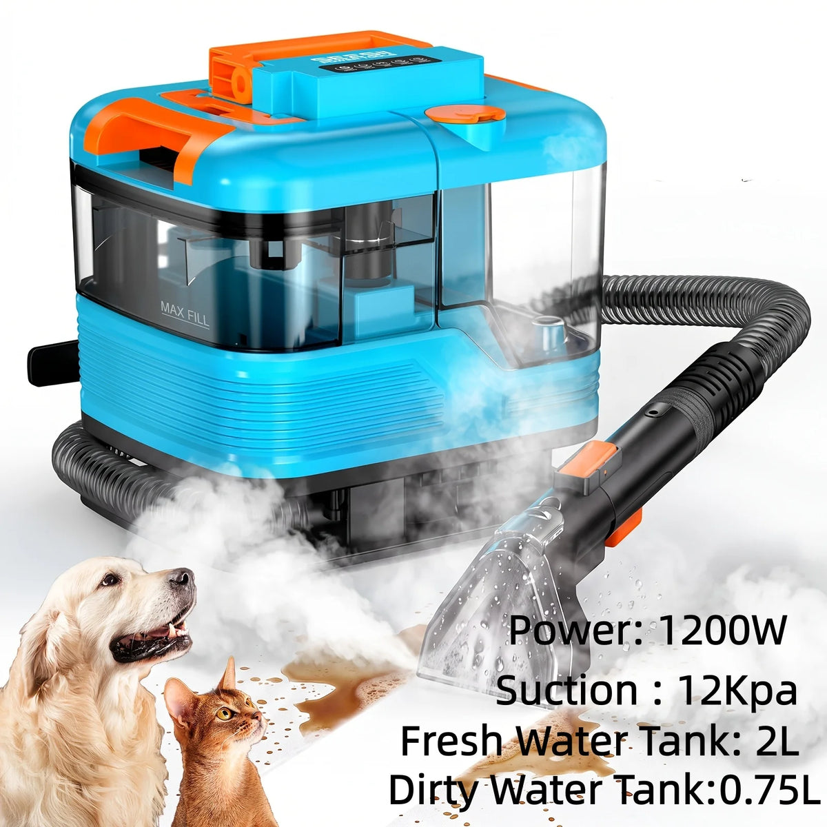 Portable Steam Cleaner