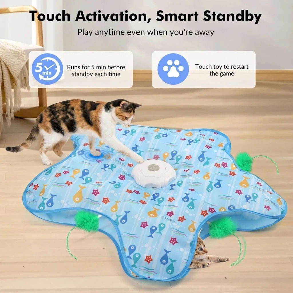 Durable Hide And Seek Cat Toy