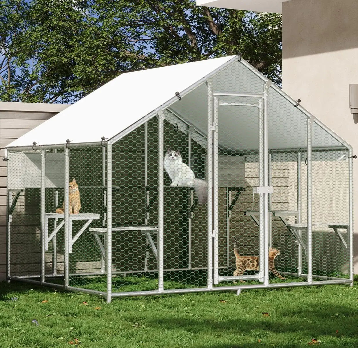 Extra Large Walk in Catio Enclosure with Roof