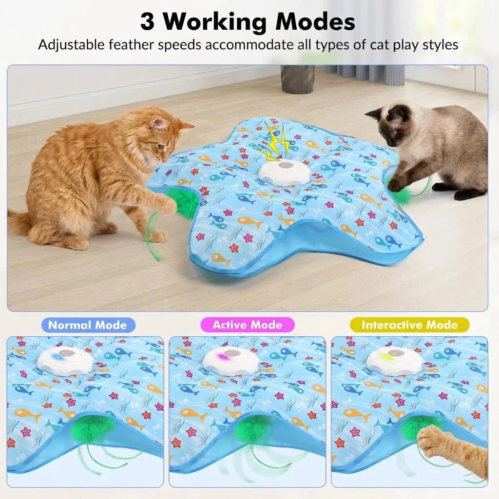 Durable Hide And Seek Cat Toy