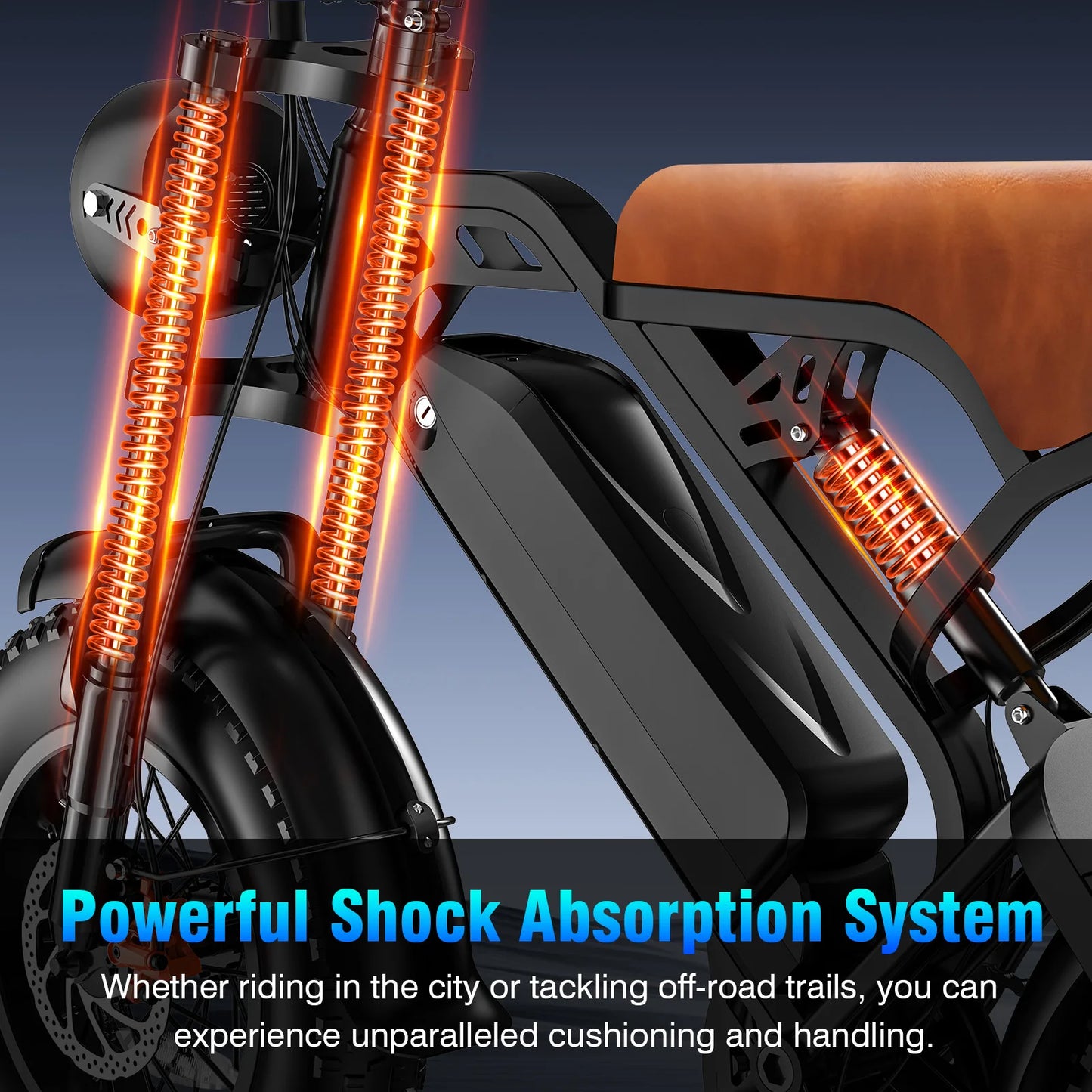 Adult Electric Bike 1000W Peak Motor